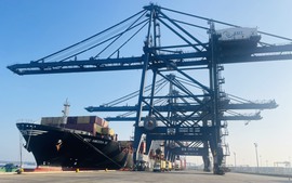 Vietnamese ports handle over 100 million tons of cargo in Jan-Feb