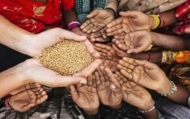 FOOD SECURITY: Action is what we need