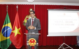 Viet Nam is among major partners of Brazil: Brazilian official