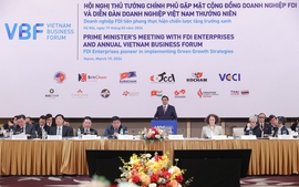 Prime Minister calls on foreign investors to promote green transition, sustainable development in Viet Nam
