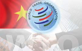 WTO Director General hails Viet Nam’s openness, int’l integration