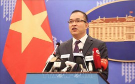 Viet Nam urges all parties to seriously implement DOC