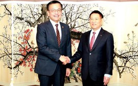 Huge economic cooperation potential for Viet Nam, South Korea