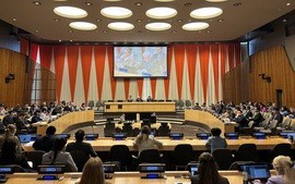 Viet Nam elected to UN Women’s Executive Board for 2025-2027