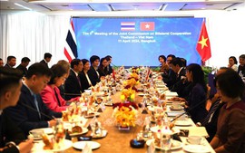 Viet Nam, Thailand spur bilateral cooperation