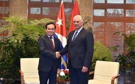 Cuban President receives visiting Vietnamese Deputy Prime Minister