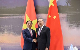 FMs affirm leading importance of Viet Nam-China relations