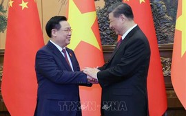Top Vietnamese legislator meets Chinese President in Beijing
