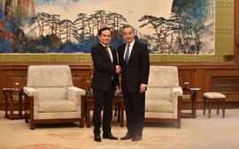 Deputy Prime Minister Tran Luu Quang meets Chinese Foreign Minister Wang Yi
