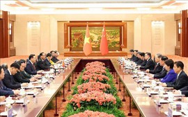Top Vietnamese, Chinese legislators hold talks