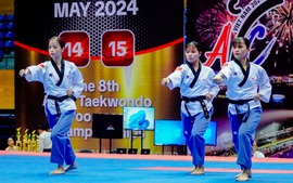 Viet Nam wins gold at Asian Taekwondo Championship on home soil