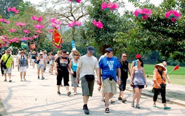 Viet Nam among top destinations for European visitors in summer 2024