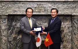 Deputy PM meets top Japanese legislator in Tokyo