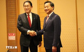 Deputy PM Le Minh Khai meets Japanese PM Kishida Fumio