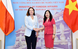 Poland, Viet Nam hold deputy ministerial-level political consultation