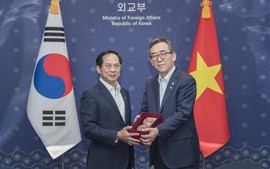 Top Vietnamese, South Korean diplomats hold talks