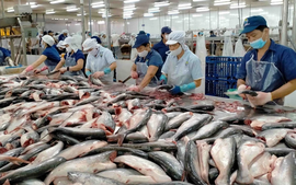 Aquaculture export turnover may hit US$4.4 billion in H1