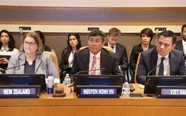 Viet Nam announces first candidate for Int'l Tribunal for the Law of the Sea