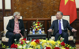 Sweden, Viet Nam to cooperate on climate change response, green transformation