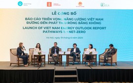 Viet Nam Energy Outlook Report 2024 released