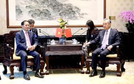 Top Vietnamese, Chinese diplomats meet in Beijing