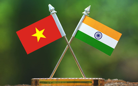 Ample room remains for Viet Nam-India collaboration: Diplomat