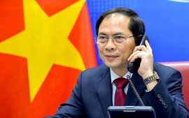 Vietnamese, Thai FMs hold phone conversation