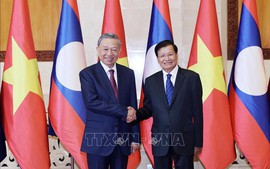 Vietnamese President hold talks with Lao Party chief, President