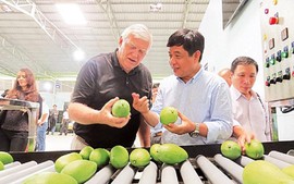 U.S. remains potential market for Vietnamese fruits