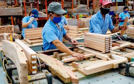 Wood furniture export turnover may reach US$17.5 billion in 2024