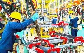 Viet Nam's manufacturing industry is vibrant again