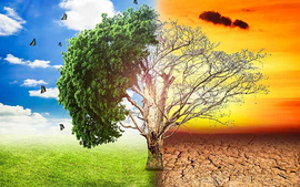 Viet Nam calls for strong cooperation to handle climate change impacts