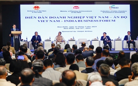 Viet Nam, India strive to raise trade turnover to US$20 billion