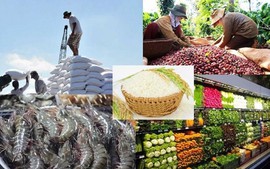 Export value of agro-forestry-aquatic products up 19% in first half