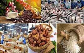 Agro-forestry-fishery export turnover soars by nearly 19%