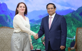 Viet Nam, New Zealand target to upgrade ties