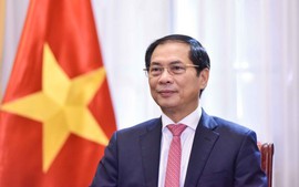 New milestone in Viet Nam-China relations