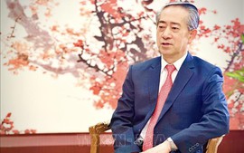 Viet Nam, China consolidate political trust