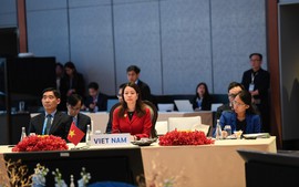 Viet Nam attends 9th Mekong–Lancang Foreign Ministers’ Meeting