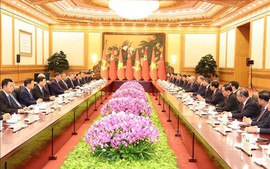 To Lam, Xi Jinping hold summit meeting in Beijing