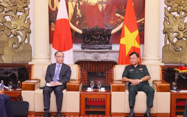 Viet Nam, Japan strengthen cooperation to overcome war consequences