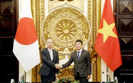 Viet Nam, Japan step up efforts to materialize comprehensive strategic partnership