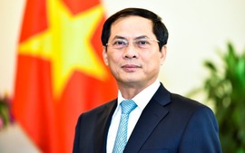 Foreign Minister Bui Thanh Son confirmed as Deputy Prime Minister