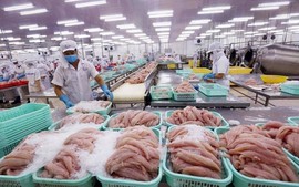 Viet Nam sustains third largest seafood exporter