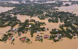 Viet Nam ranks second in disaster preparedness worldwide