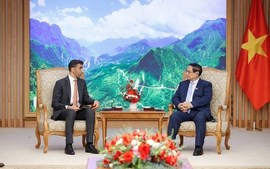 Viet Nam expects early signing of Comprehensive Economic Partnership Agreement with UAE