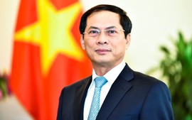 Biography of Deputy Prime Minister and Foreign Minister Bui Thanh Son