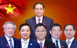 Management areas of five Deputy Prime Ministers