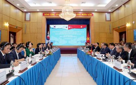 Viet Nam attracts more than 10,000 investment projects from South Korea