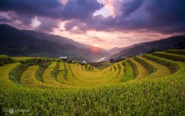 Mu Cang Chai named among 25 places with surreal beauty worldwide